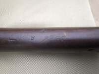 IMG_1354.jpeg
