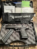 desert eagle 2.jpg