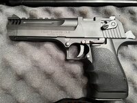 desert eagle 1.jpg