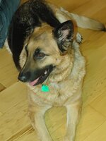 20231002_221305.jpg