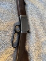 IMG_1540.jpeg
