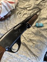 IMG_3247.jpeg