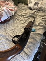 IMG_3248.jpeg