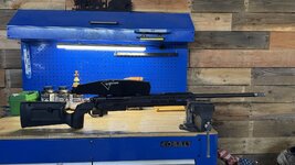 IMG_3572.jpeg