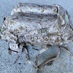 IMG_0301.jpeg