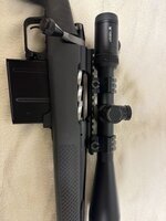 IMG_3602.jpeg