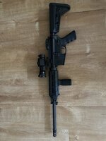 IMG_1254.jpeg