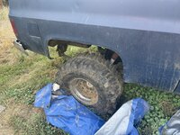 IMG_1577.jpeg