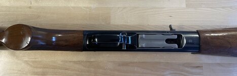 IMG_1326.jpeg