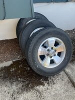 IMG_6406.jpeg