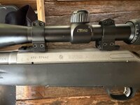 IMG_7298.jpeg