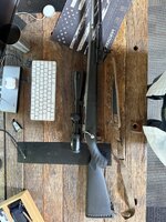 IMG_7295.jpeg