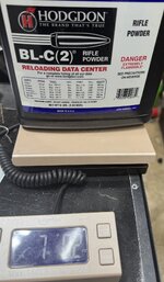 IMG_5535.jpeg