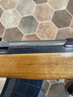 IMG_4955.jpeg