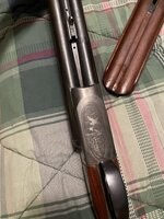 IMG_1587.jpeg