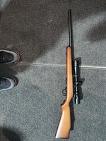 IMG_8402.jpeg