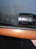 IMG_8404.jpeg