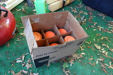 DSC00926.JPG