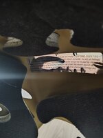 1000003476.jpg