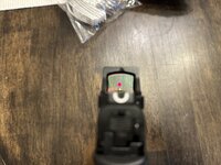 IMG_6372.jpeg