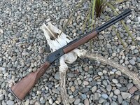 IMG_5929.jpeg