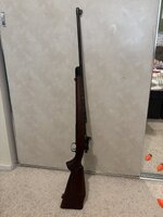 IMG_4729.jpeg