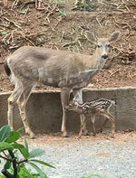 IMG_3942.jpeg