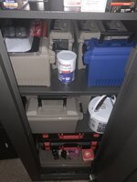 IMG_2965.jpeg