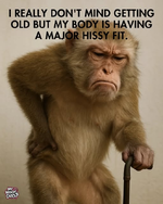 thumbnail_image (3).png