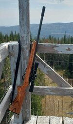 rifle1.jpg