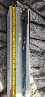 1000020799.jpg
