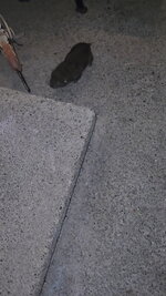 1000002134.jpg