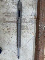 IMG_2425.jpeg