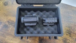 Red dot (3).jpg