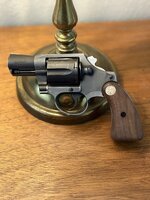 IMG_1529.jpeg