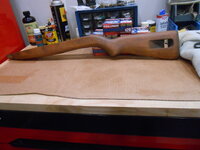 DSCN0551.JPG