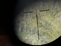 IMG_0172.jpeg