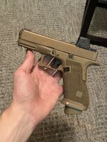 IMG_8765.jpeg
