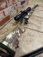 28 Nosler.jpg