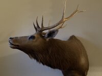 IMG_5200.jpeg