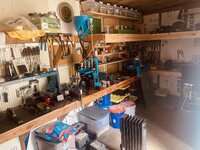 IMG_5939.jpeg