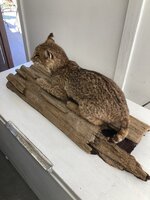 IMG_5208.jpeg