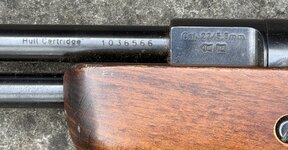 IMG_0058.jpeg