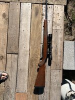 IMG_3490.jpeg