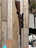IMG_3489.jpeg