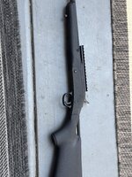 IMG_1714.jpeg