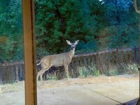 IMG_9911.jpeg
