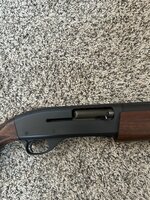IMG_8222.jpeg