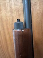 IMG_8224.jpeg