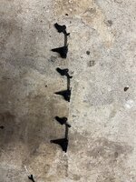 IMG_8725.jpeg
